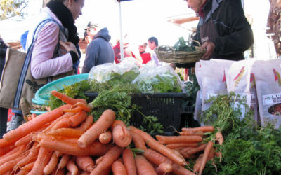 From paddock to plate – the Orange Region Farmers Market