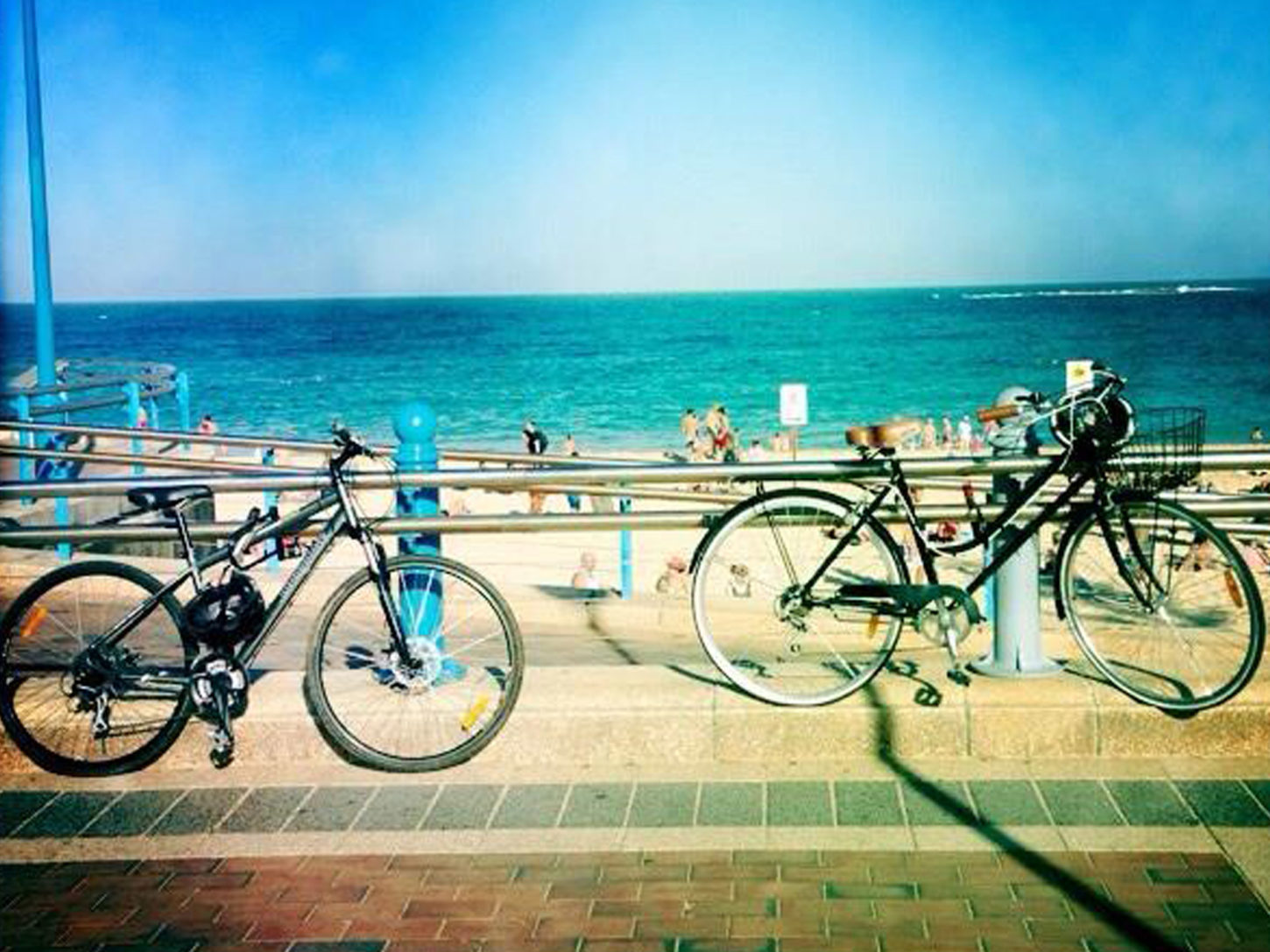 The ride from Surry Hills to Coogee